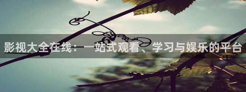私人影院多少钱一场：影视大全在线：一站式观看、学习与娱乐的平台