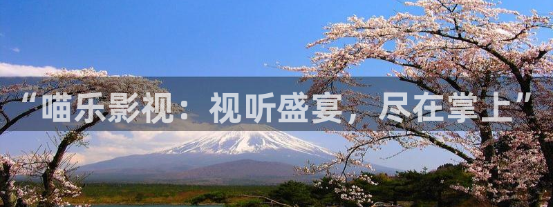 汤姆先生的私人影院：“喵乐影视：视听盛宴，尽在掌上”