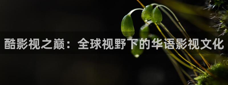 八戒私人伦理影院：酷影视之巅：全球视野下的华语影视文化