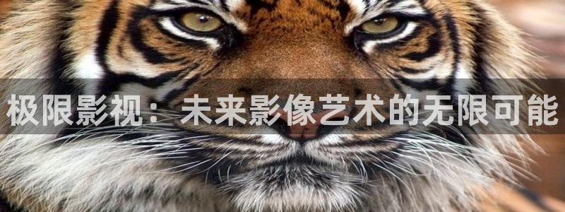 光棍影院私人影院：极限影视：未来影像艺术的无限可能