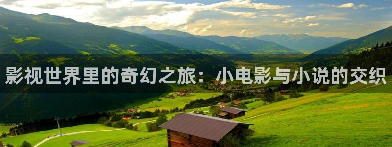91午夜理伦私人影院：影视世界里的奇幻之旅：小电影与小说的交织