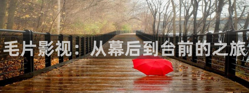 私人影院看：毛片影视：从幕后到台前的之旅