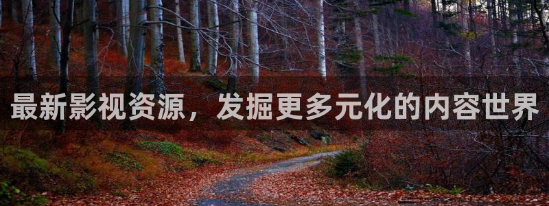 私人影院什么意思呢：最新影视资源，发掘更多元化的内容世界