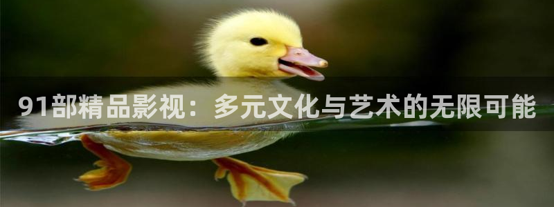 4008私人影院：91部精品影视：多元文化与艺术的无限可能